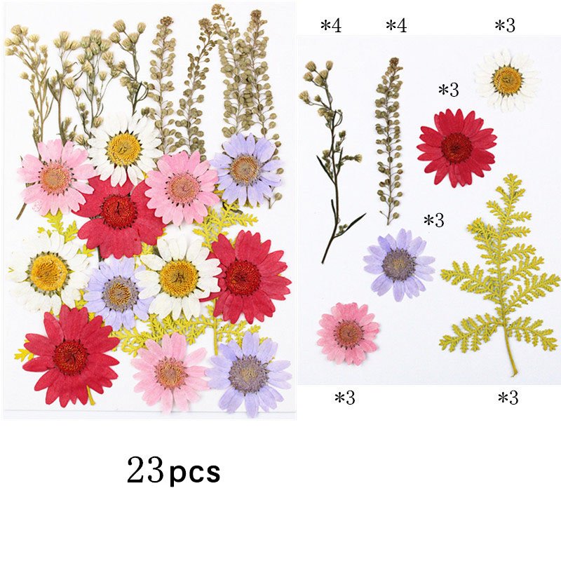 M388 Wholesale DIY Flower Press Kit Dried Pressed Flowers Natural Real Dried Pressed Flowers For Resin Art Phone Case Frames