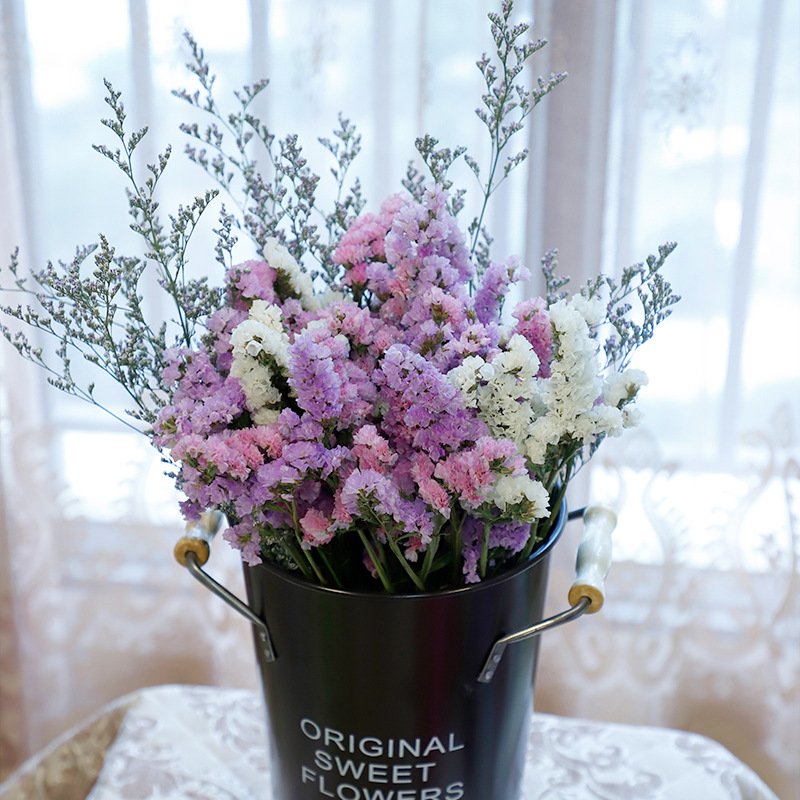 Beautiful Myosotis Sylvatica Flower Dried Flowers Preserved Forget me not Preserved Limonium