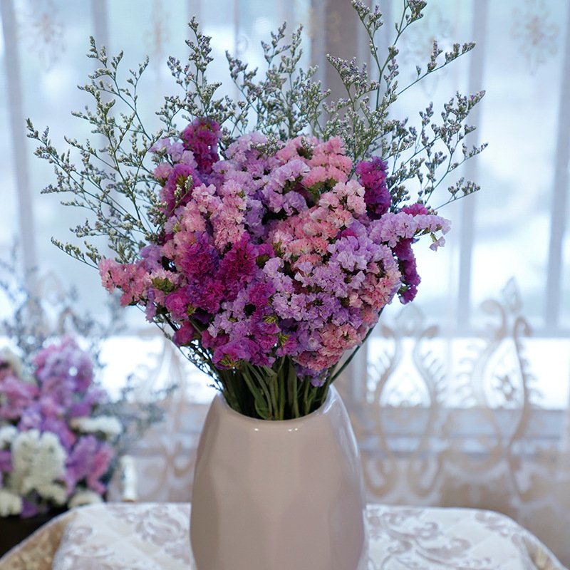 Beautiful Myosotis Sylvatica Flower Dried Flowers Preserved Forget me not Preserved Limonium