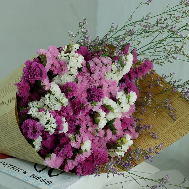Beautiful Myosotis Sylvatica Flower Dried Flowers Preserved Forget me not Preserved Limonium