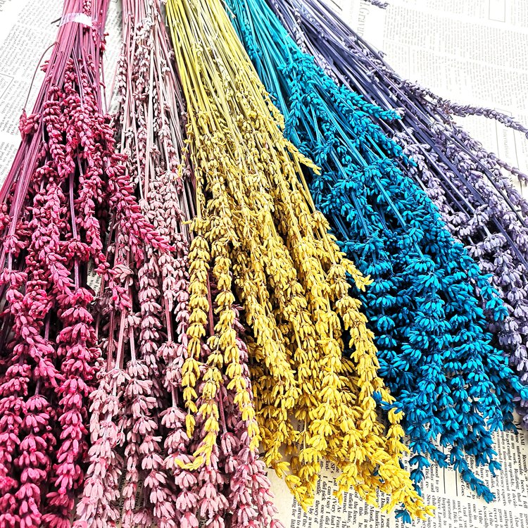SumFlora China Wholesale preserved lavender for home decoration
