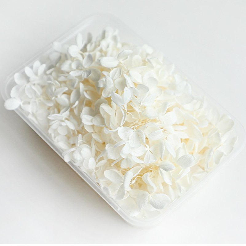 5g Colorful Real Dried Fabulous Preserved Hydrangea Petals for Wedding