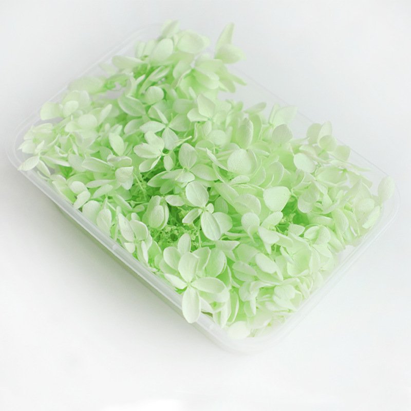 5g Colorful Real Dried Fabulous Preserved Hydrangea Petals for Wedding