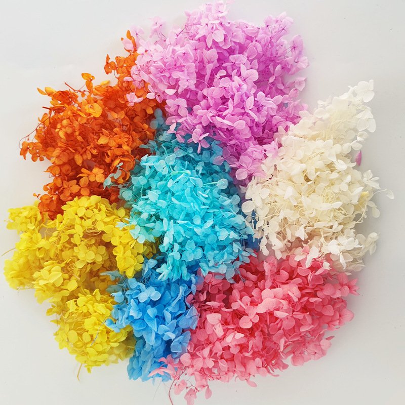 5g Colorful Real Dried Fabulous Preserved Hydrangea Petals for Wedding