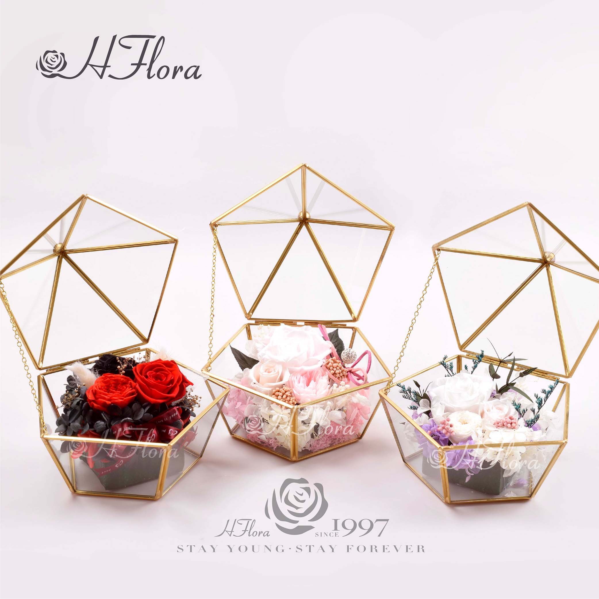 HFloral Hot Selling Preserved Flowers in Pentagon Glass Low Price Manufacturer Preserved Rose Glass Dome for Birthday Gift