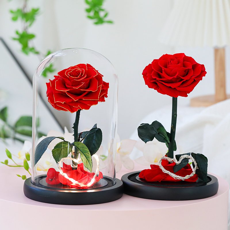 Mothers day gifts factory supply natural flower gift box eternal rose preserved flowers forever roses in glass dome Led