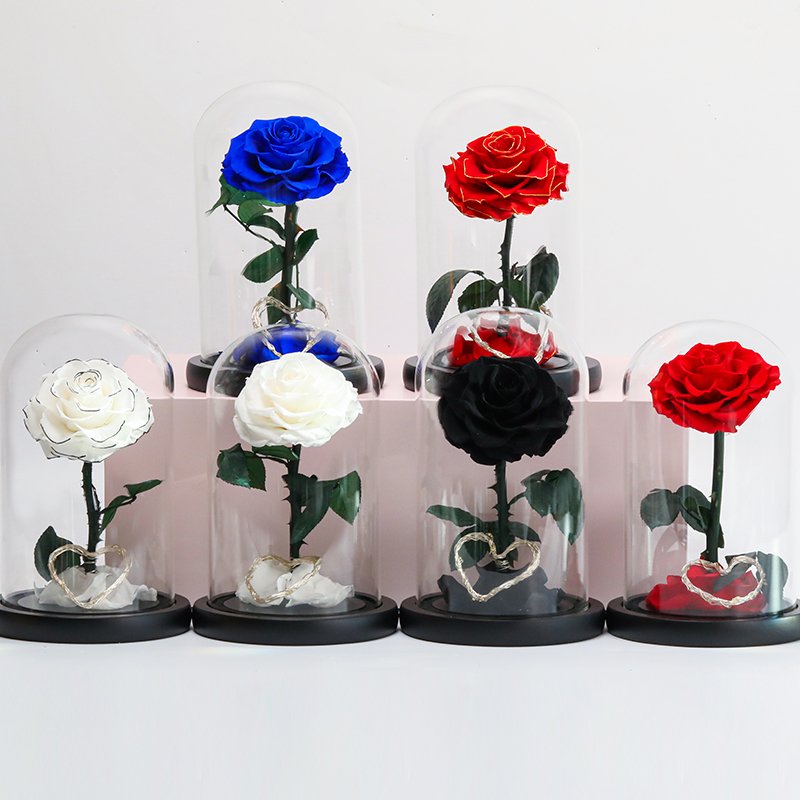 Mothers day gifts factory supply natural flower gift box eternal rose preserved flowers forever roses in glass dome Led