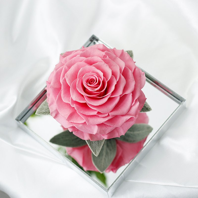 New design A super large handmade Preserved flower Acrylic Box Creative Valentine's Day Gift Eternal Rose