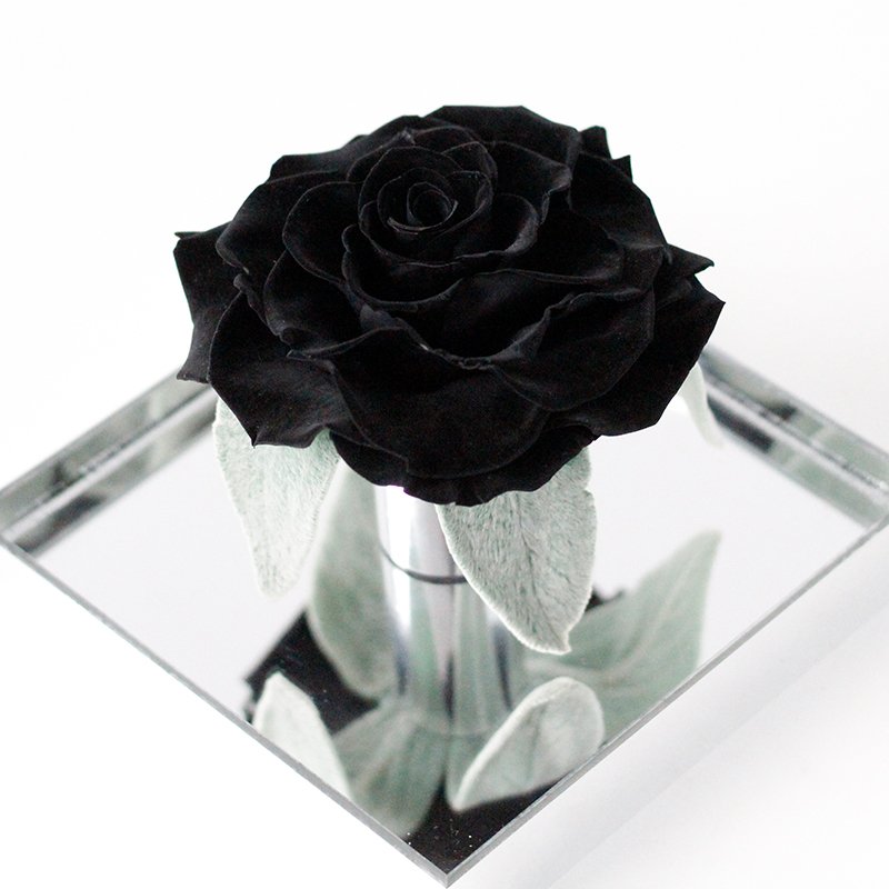 New design A super large handmade Preserved flower Acrylic Box Creative Valentine's Day Gift Eternal Rose
