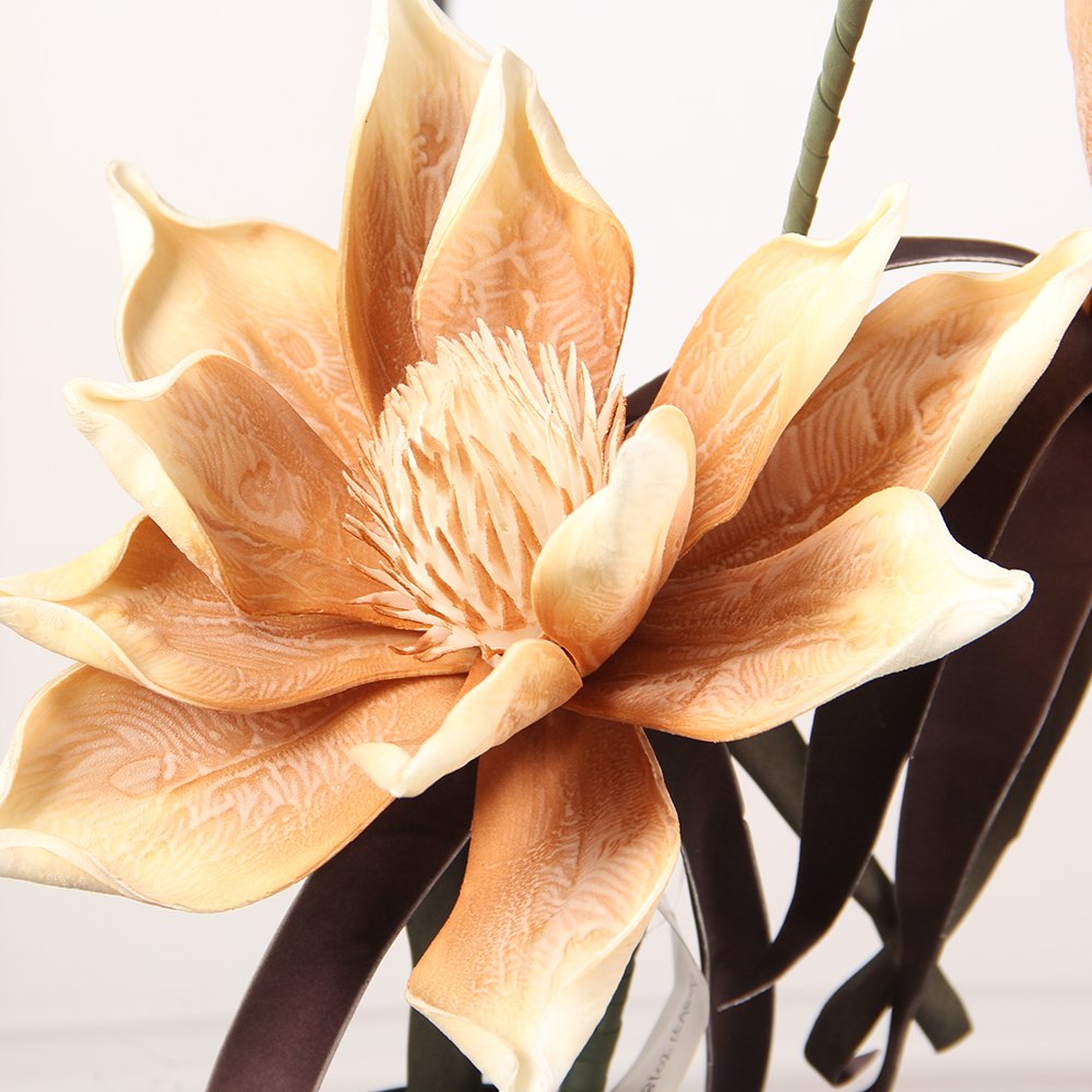 Wholesale High Quality Preserve Big Flower Preserved Flowers