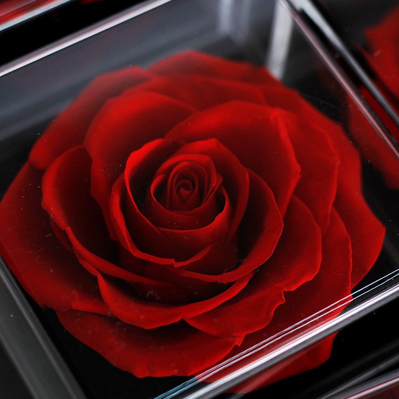 Handmade Christmas Valentines Day Gift Eternal Natural Preserved Roses Flowers Acrylic Rose Jewelry Box Gifts for Mom Women