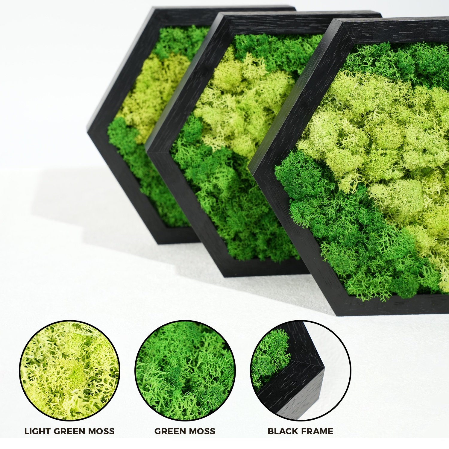 Boxed Preserved Flower Customized Preserved Moss Wall Art Frame For Home Decoration Christmas Decor