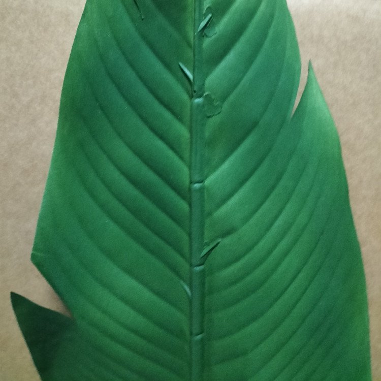 artificial palm tree leaves factory wholesale natural touch green pu palm plant leaves decor dried artificial banana leaf