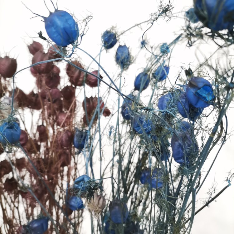 SumFlora Natural Wedding Bouquet Flower Bridal Bouquet Flower Accessories preserved flower nigella