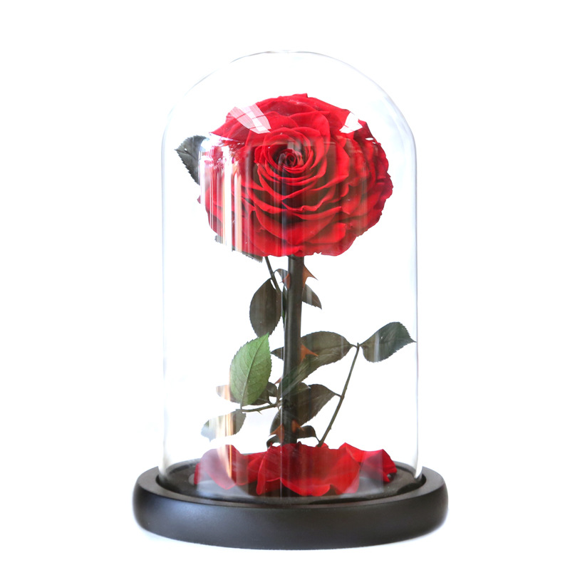 Eternal Rose Flowers Morthers Day Everlasting Preserved Flower Forever Roses In Glass Dome Led