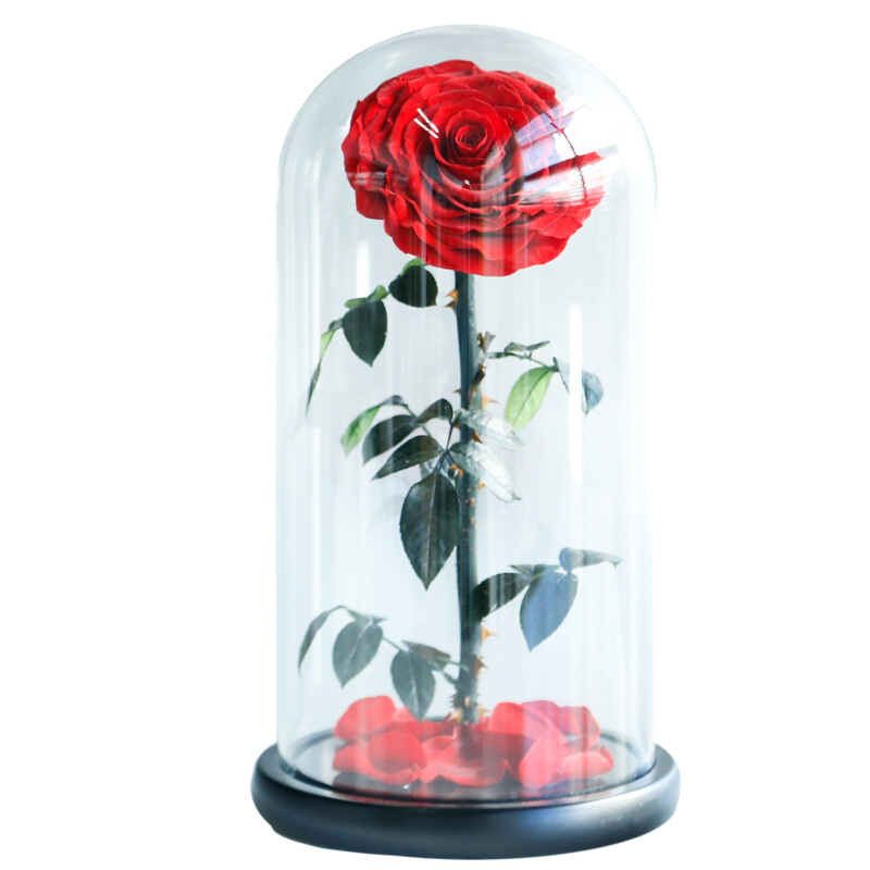 Eternal Rose Flowers Morthers Day Everlasting Preserved Flower Forever Roses In Glass Dome Led