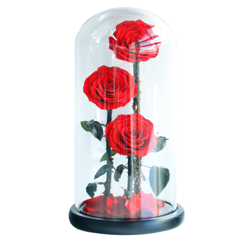 Eternal Rose Flowers Morthers Day Everlasting Preserved Flower Forever Roses In Glass Dome Led