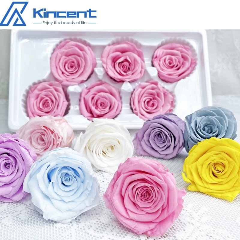 A Grade Preserved Rose Head 5-6cm Preserved Flowers Roses Wholesale DIY Flower Bouquet