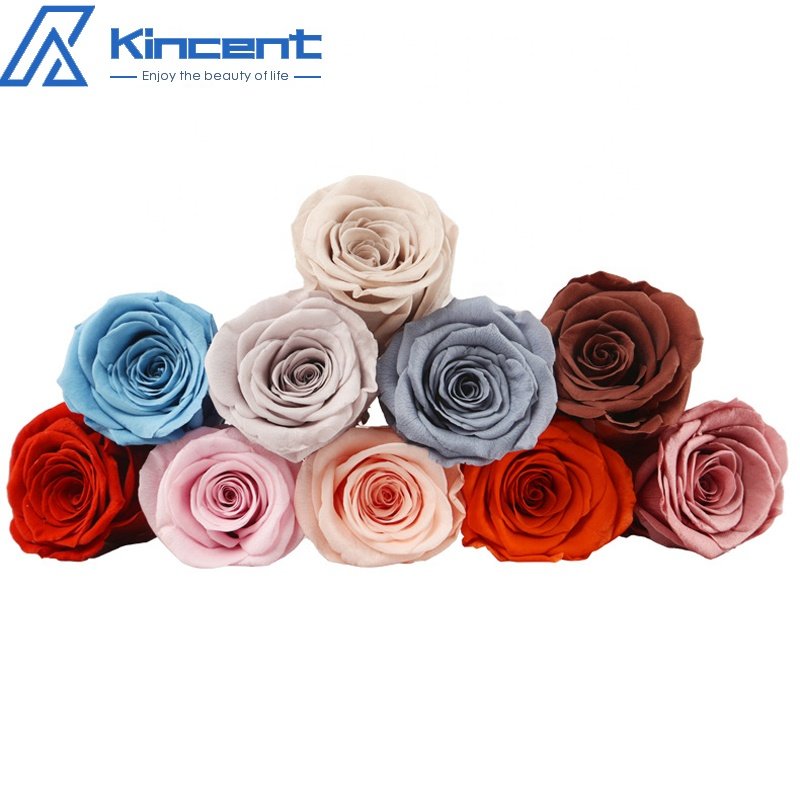 A Grade Preserved Rose Head 5-6cm Preserved Flowers Roses Wholesale DIY Flower Bouquet
