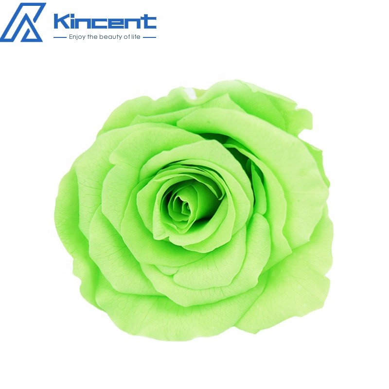 A Grade Preserved Rose Head 5-6cm Preserved Flowers Roses Wholesale DIY Flower Bouquet