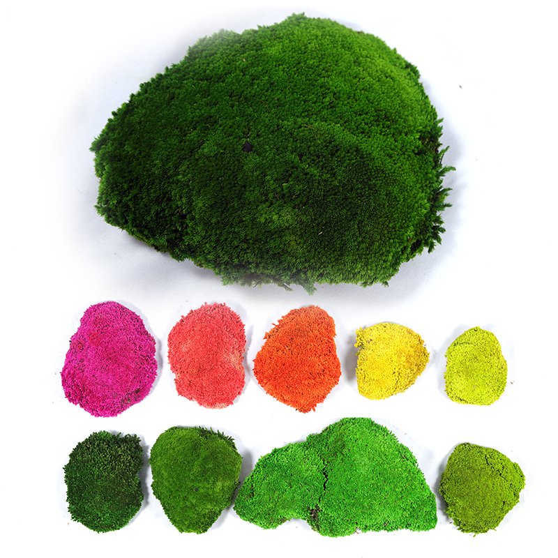 Last five years high quality natural colorful moss stabilized preserved pole bun pillow moss wall decor moss decorations
