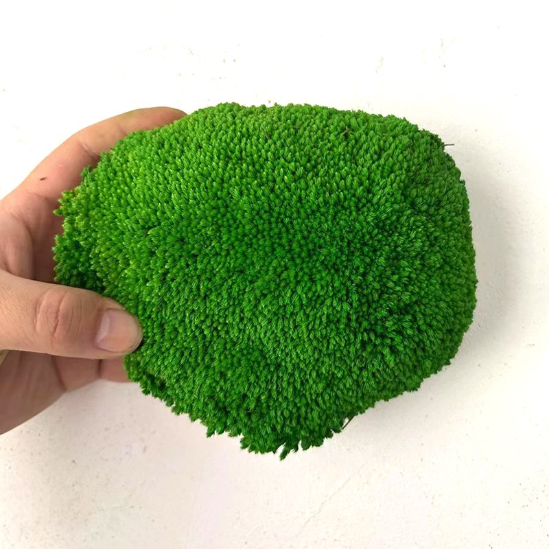 Last five years high quality natural colorful moss stabilized preserved pole bun pillow moss wall decor moss decorations