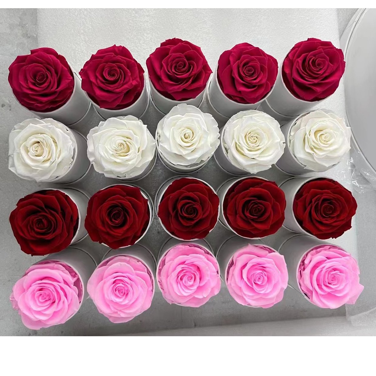 Valentines Gifts Eternal Long Lasting Roses Eternelle Flower Real Natural Preserved Roses Flowers And Plants Rose In Box