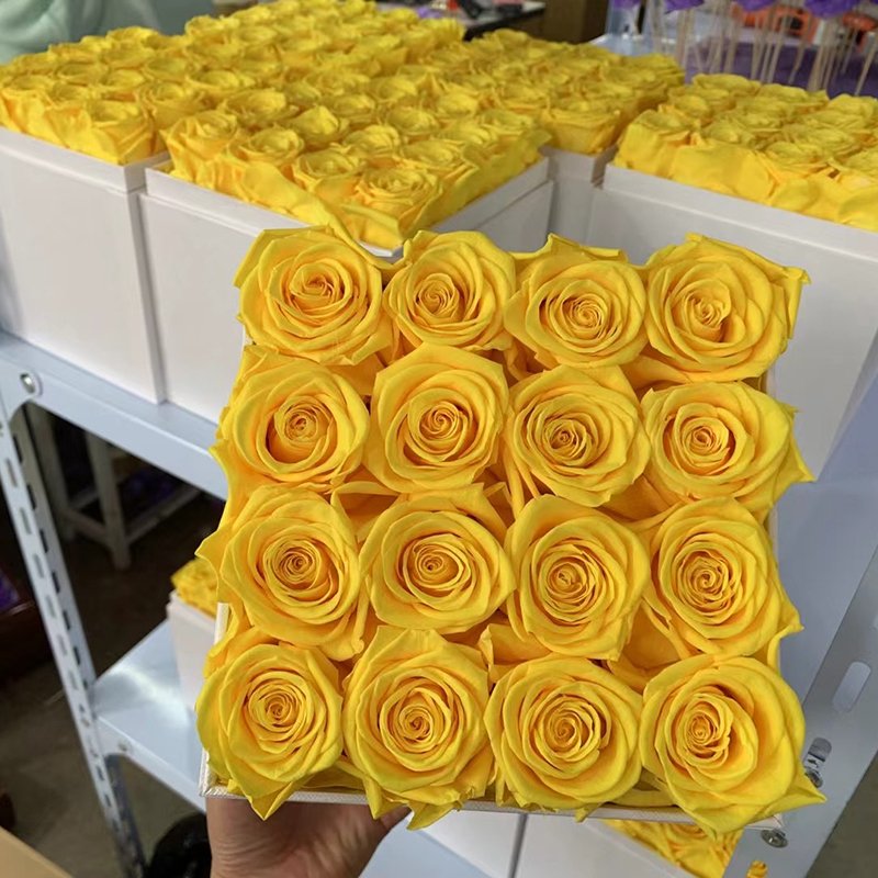 Valentines Gifts Eternal Long Lasting Roses Eternelle Flower Real Natural Preserved Roses Flowers And Plants Rose In Box