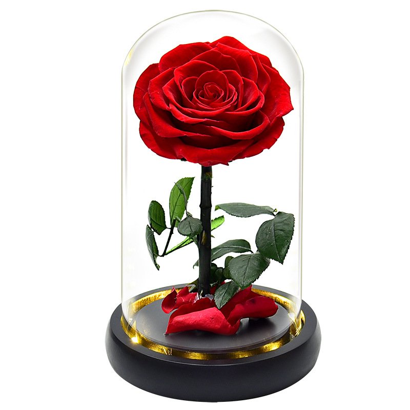 BLH Wholesale PMMA Glass Cover Of the Immortal Flower Gift Box Decor Flower For Party Best gift for Valentine's day
