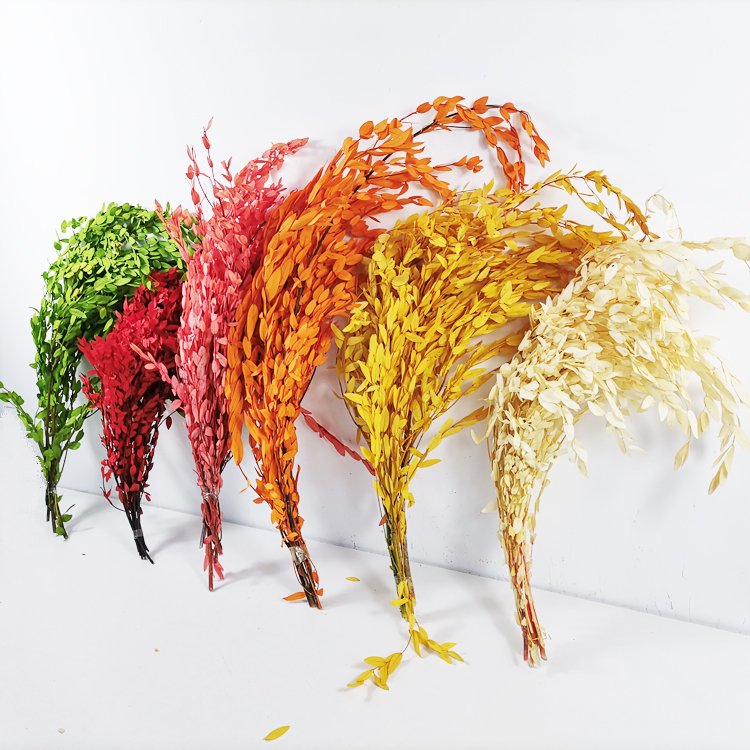SumFlora Flower hot flower Preserved Eucalyptus For home decoration preserved flower eucalyptus tenuifolia