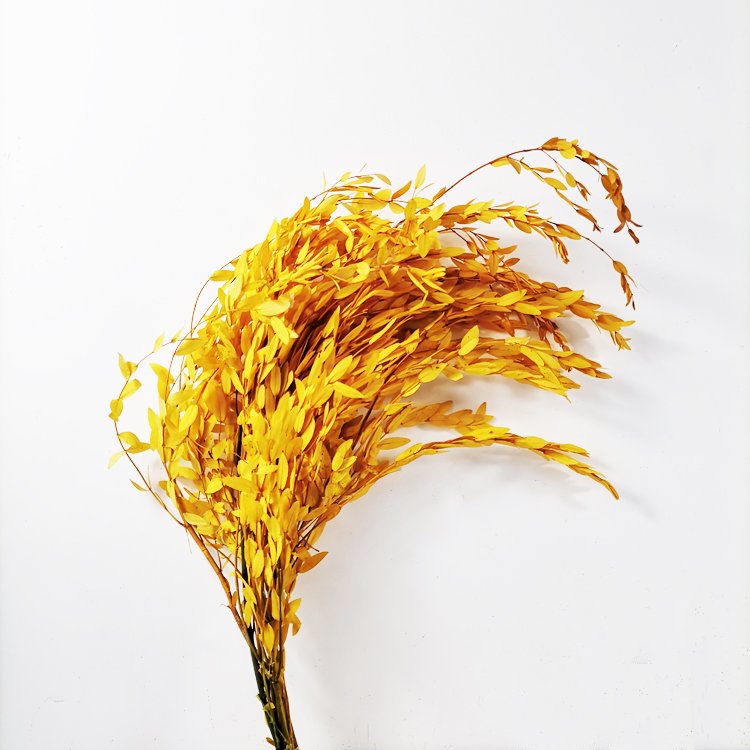 SumFlora Flower hot flower Preserved Eucalyptus For home decoration preserved flower eucalyptus tenuifolia
