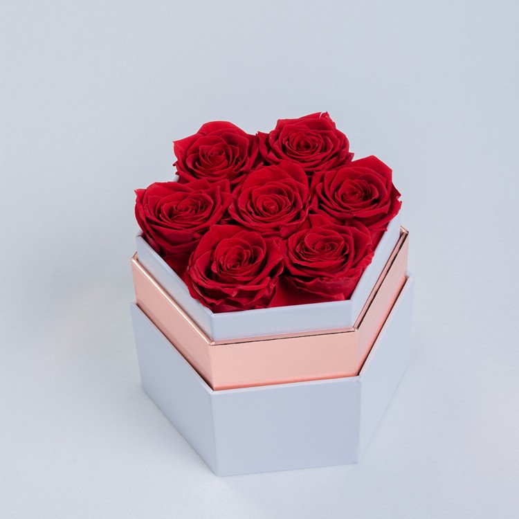 Wholesale Flower Mother's Day Gift Long Life Lasting Real Natural Everlasting Immortal Forever Eternal Preserved Rose in Box