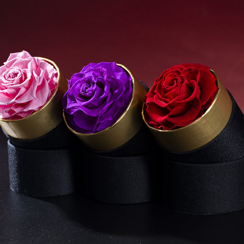 Hot selling popular classic gold border hugging bucket preserved everlasting eternal flower red rose gift holiday decoration