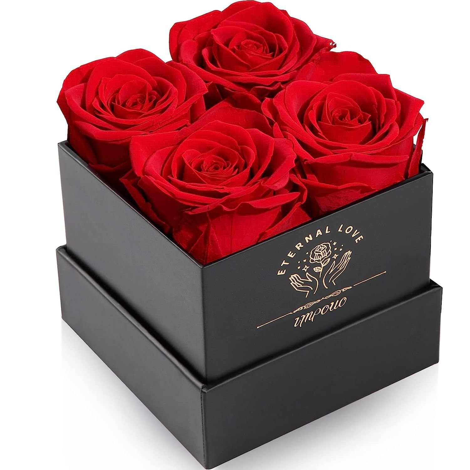 Premium Anniversary Mothers Day Gifts 2024 Floral Forever Real Eternal Rose Box Preserved Flowers in Glass Dome