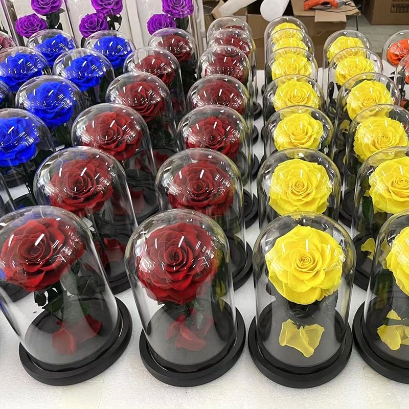 Mother's Day Gift Real Rose Flowers forever preserved flowers plants Eternal Roses In A Glass Dome Valentine's Day Gift