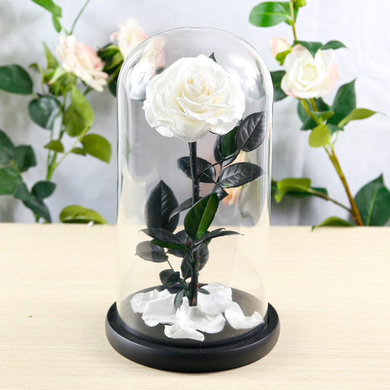 Mother's Day Gift Real Rose Flowers forever preserved flowers plants Eternal Roses In A Glass Dome Valentine's Day Gift