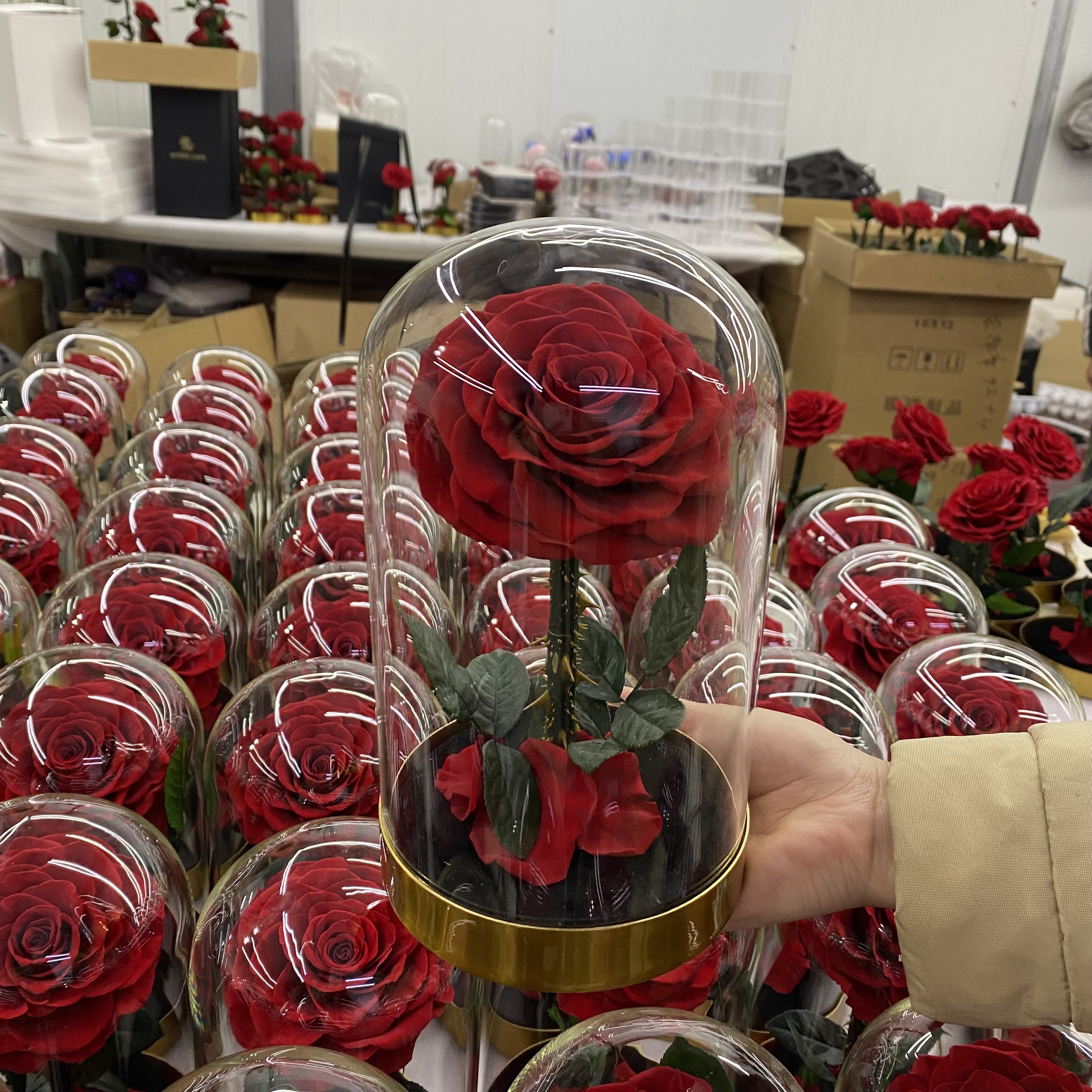 Preserved Rainbow Rose In Glass Box Preserved Fresh Forever Roses Flower Preserved Flowers Neutral with Metal for Gift and Decor