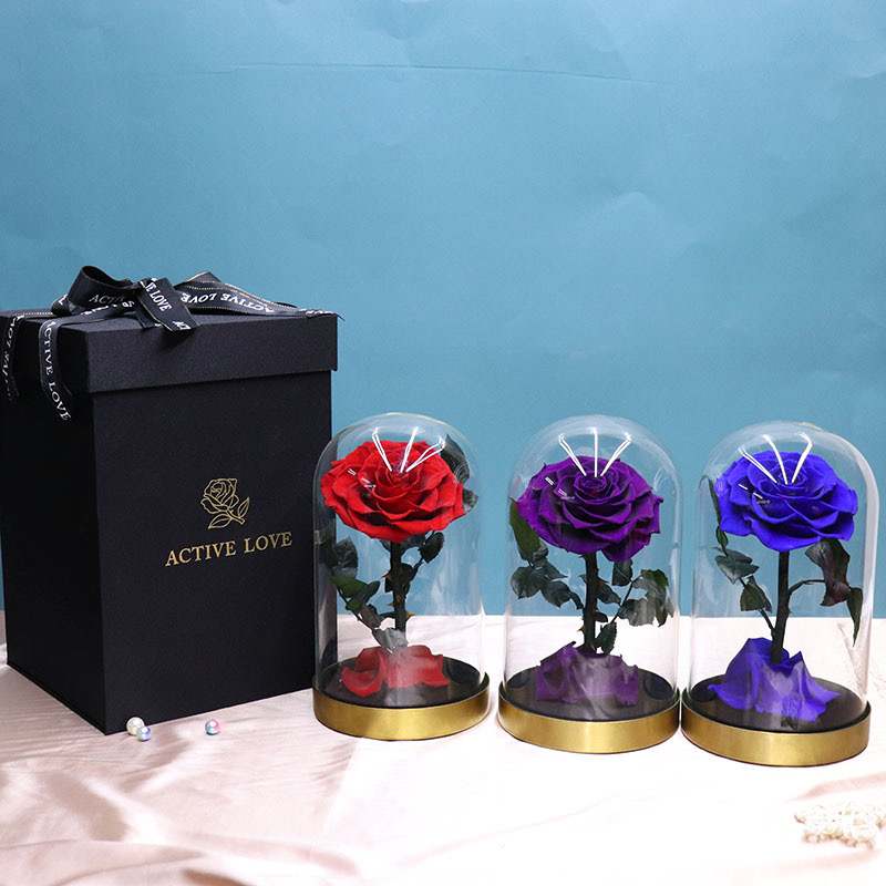 Preserved Rainbow Rose In Glass Box Preserved Fresh Forever Roses Flower Preserved Flowers Neutral with Metal for Gift and Decor