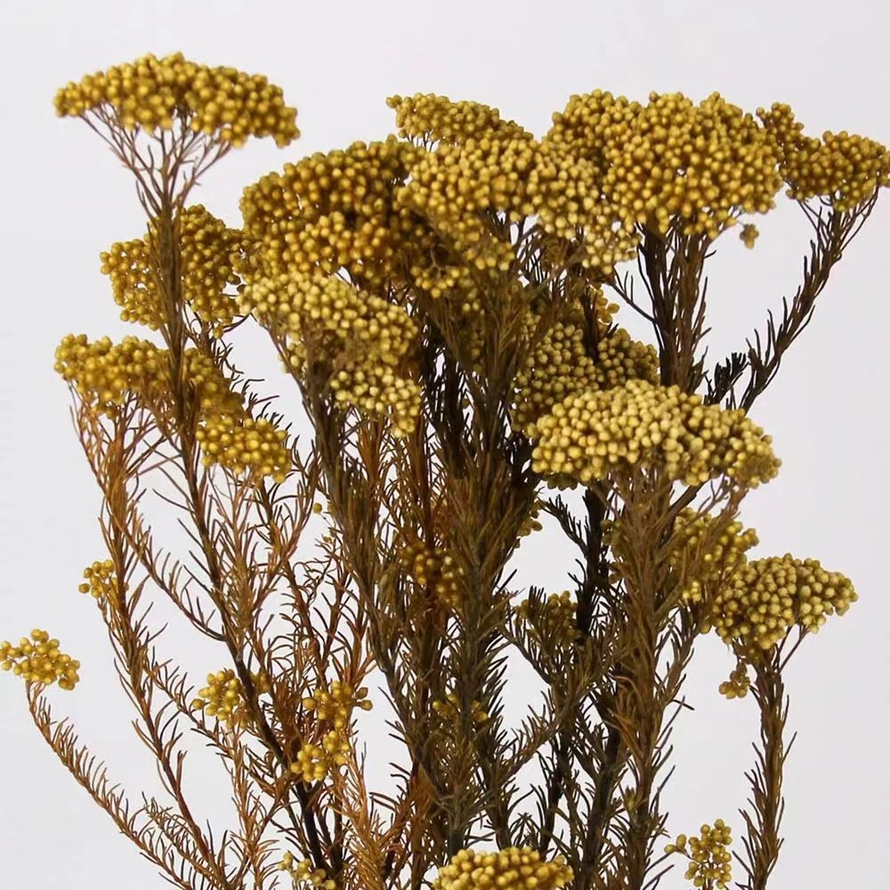 Yunan hot home decoration preserved rice flower used Valentine's Day and Wedding decoration