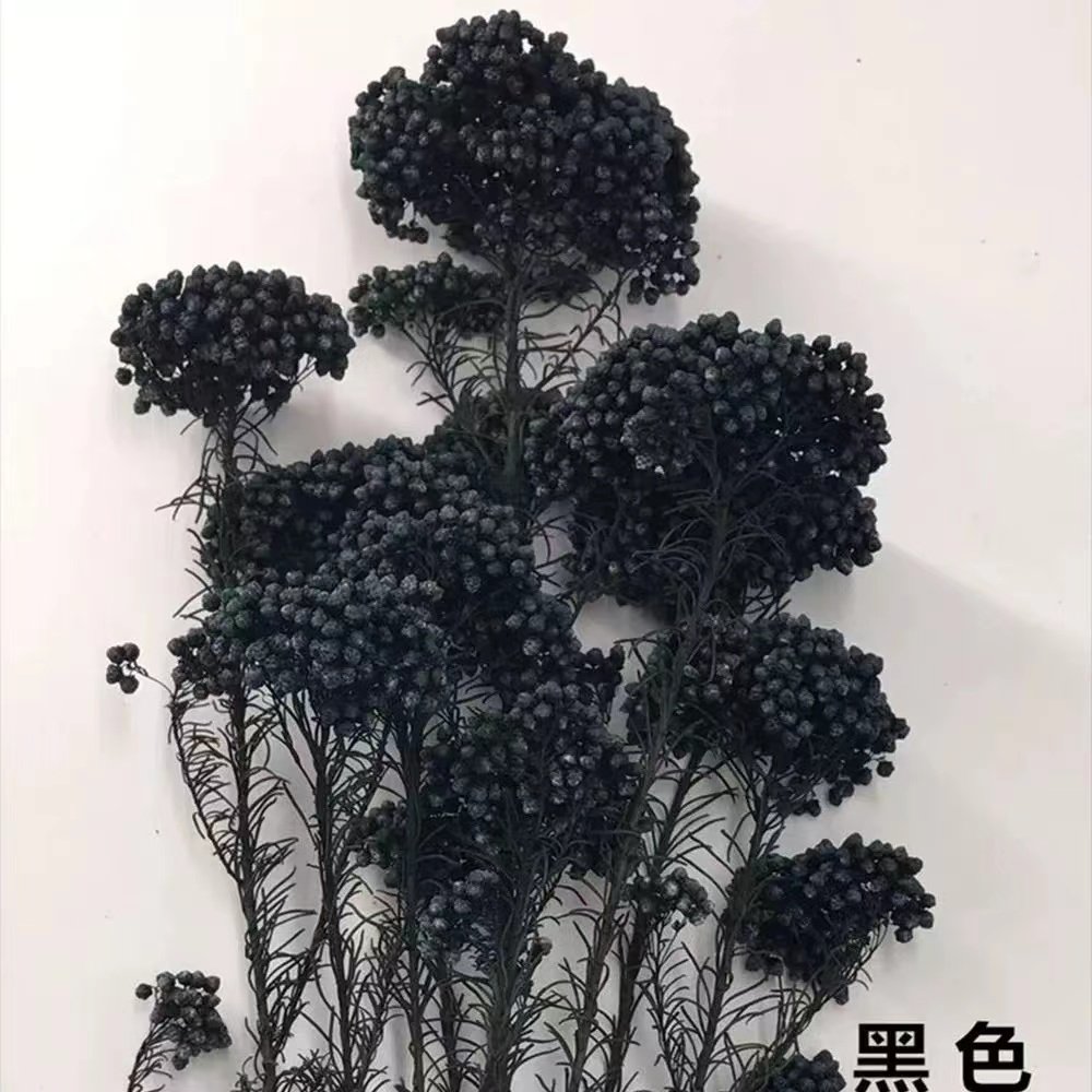 Yunan hot home decoration preserved rice flower used Valentine's Day and Wedding decoration