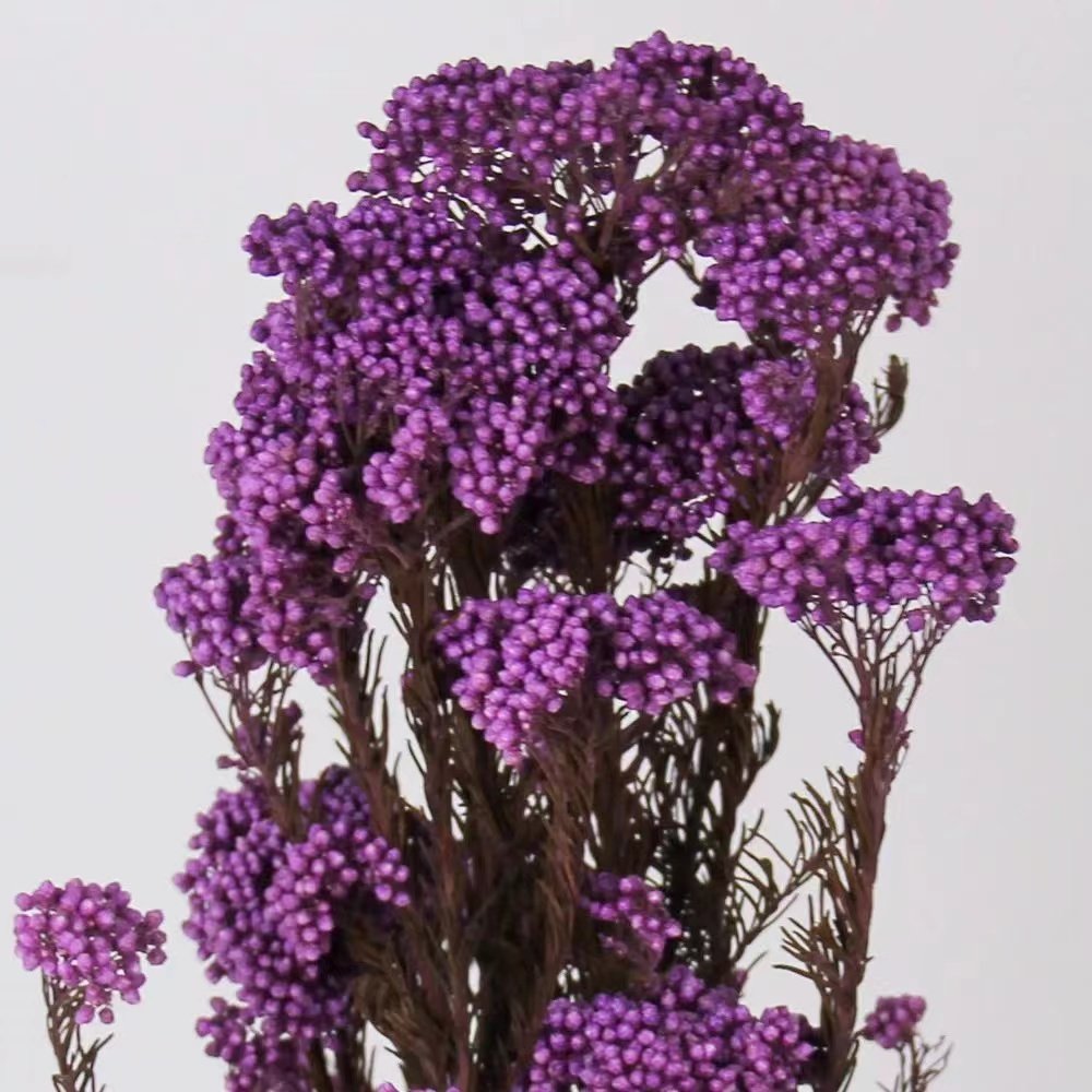 Yunan hot home decoration preserved rice flower used Valentine's Day and Wedding decoration