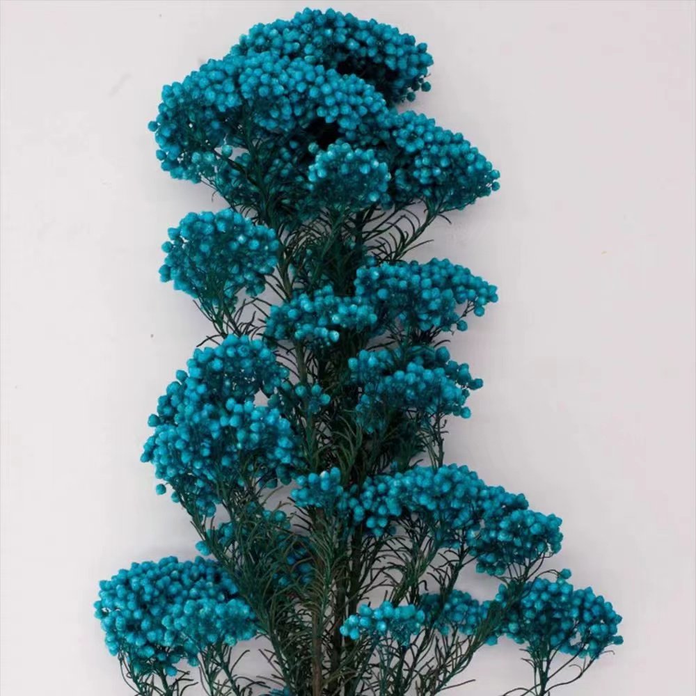 Yunan hot home decoration preserved rice flower used Valentine's Day and Wedding decoration