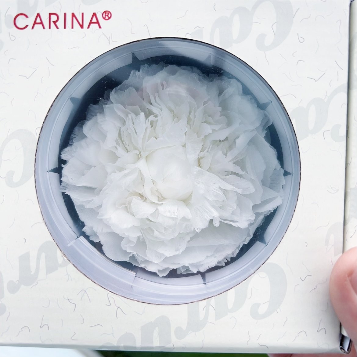 Wholesale 100% natural High Quality Preserved Flower Asia Peony Eternal Flower Head Everlasting Peony For Gift Box DIY Bouquet