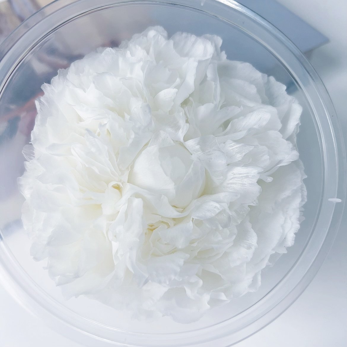 Wholesale 100% natural High Quality Preserved Flower Asia Peony Eternal Flower Head Everlasting Peony For Gift Box DIY Bouquet