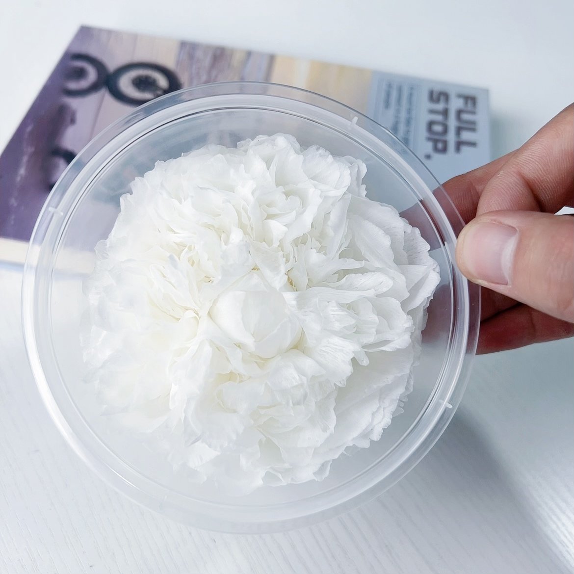 Wholesale 100% natural High Quality Preserved Flower Asia Peony Eternal Flower Head Everlasting Peony For Gift Box DIY Bouquet