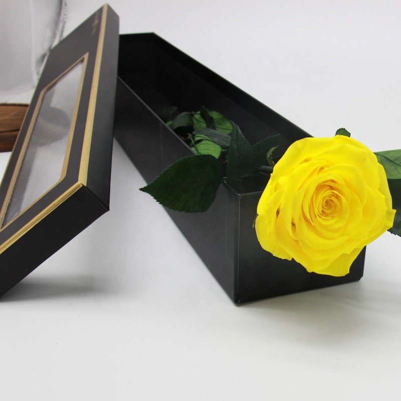 YAYUN A-1120 Wholesale Ecuador Preserved Roses Long Stem Flowers For Gift