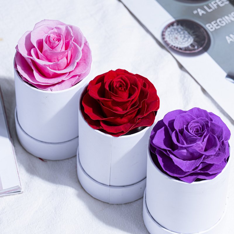 Eternal Flower Mini round Hug Bucket for Christmas and Valentine's Day Gifts-Wholesale Rose Design Bucket Gift Box