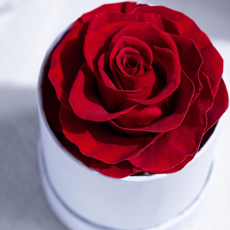Eternal Flower Mini round Hug Bucket for Christmas and Valentine's Day Gifts-Wholesale Rose Design Bucket Gift Box