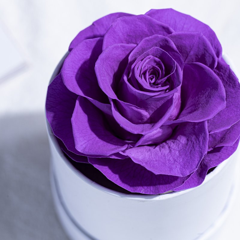 Eternal Flower Mini round Hug Bucket for Christmas and Valentine's Day Gifts-Wholesale Rose Design Bucket Gift Box