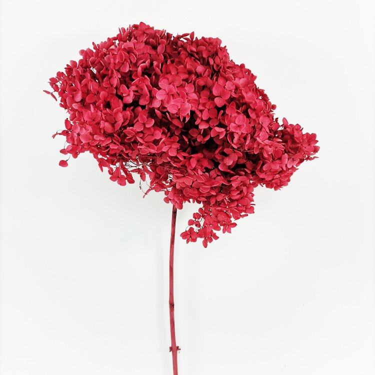 SumFlora Wedding decoration beautiful red immortal flower preserved flower hydrangea